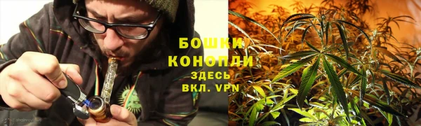 МДПВ Новокубанск