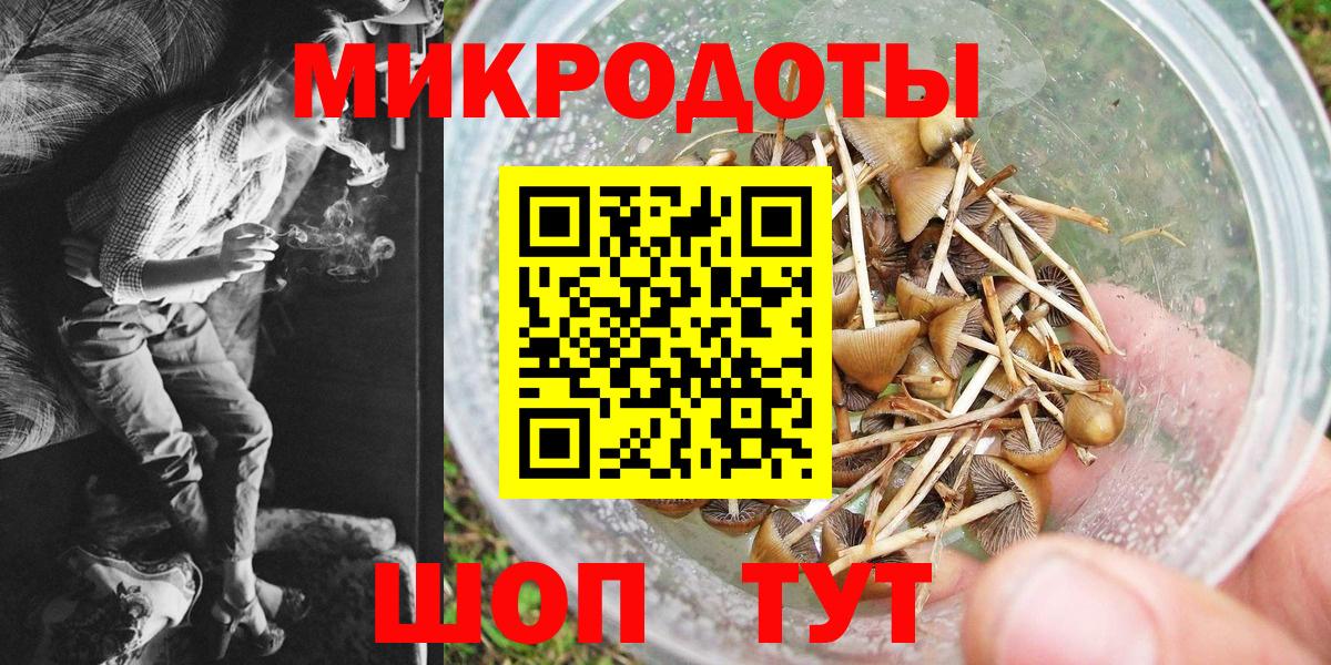 Галлюциногенные грибы прущие грибы Лысьва