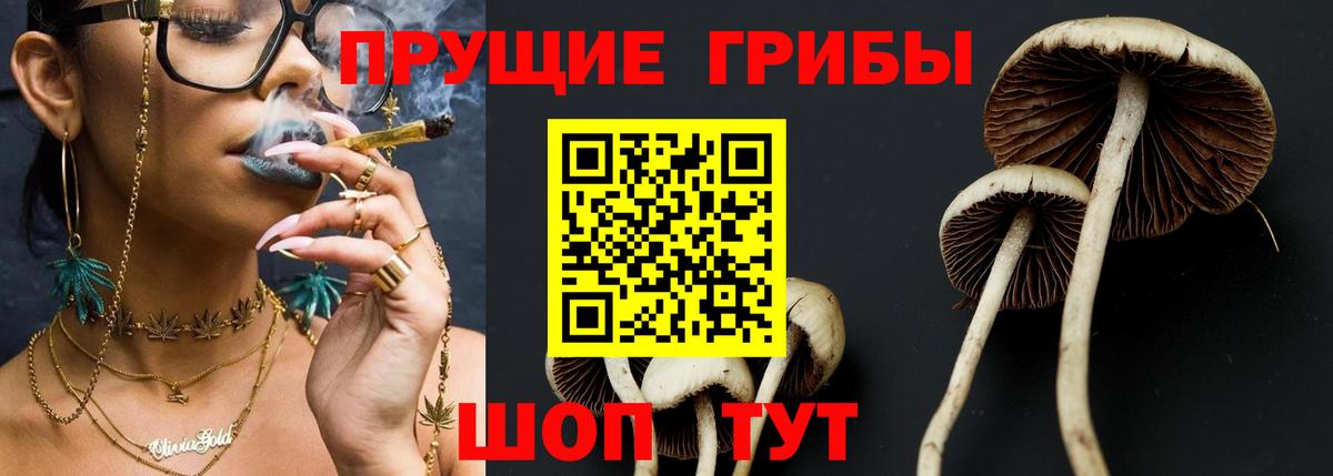 Лысьва  цены   Галлюциногенные грибы Psilocybe  Вход с VPN  Галлюциногенные грибы мицелий 